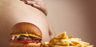 fat obesity