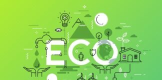 How to Start an Eco Friendly Business Online?