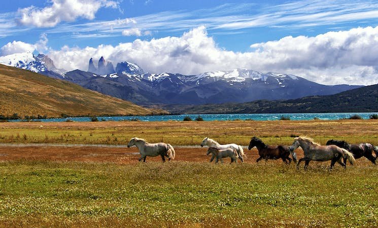 Patagonia, Argentina and Chile Real beautiful landscapes