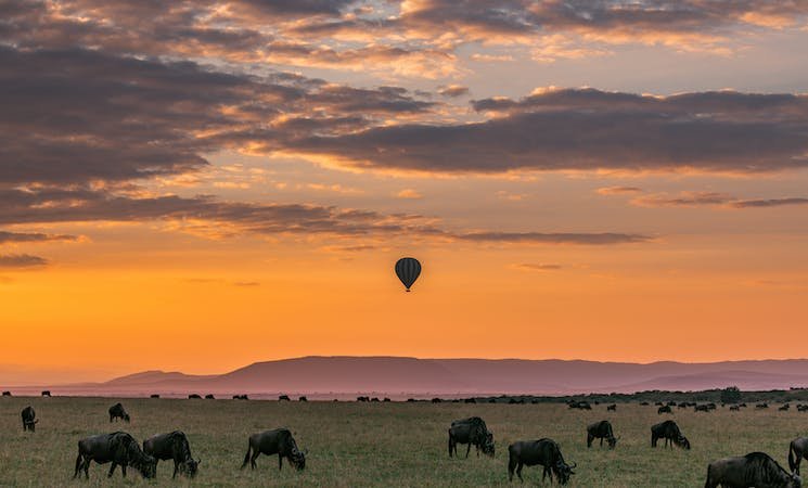 Serengeti National Park, Tanzania Real beautiful landscapes