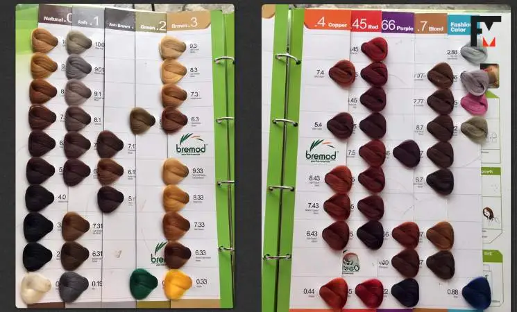 Finding Your Ideal Shade in the Bremod Hair Color Chart
