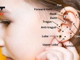 Ear Piercing Chart names