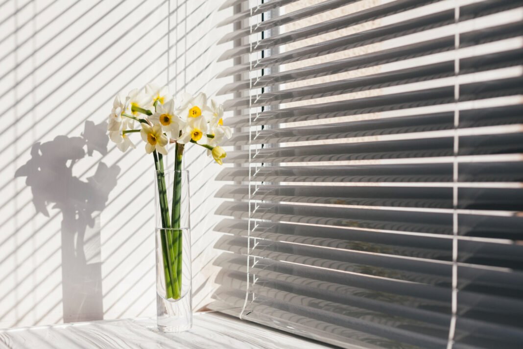 Window Blinds for office